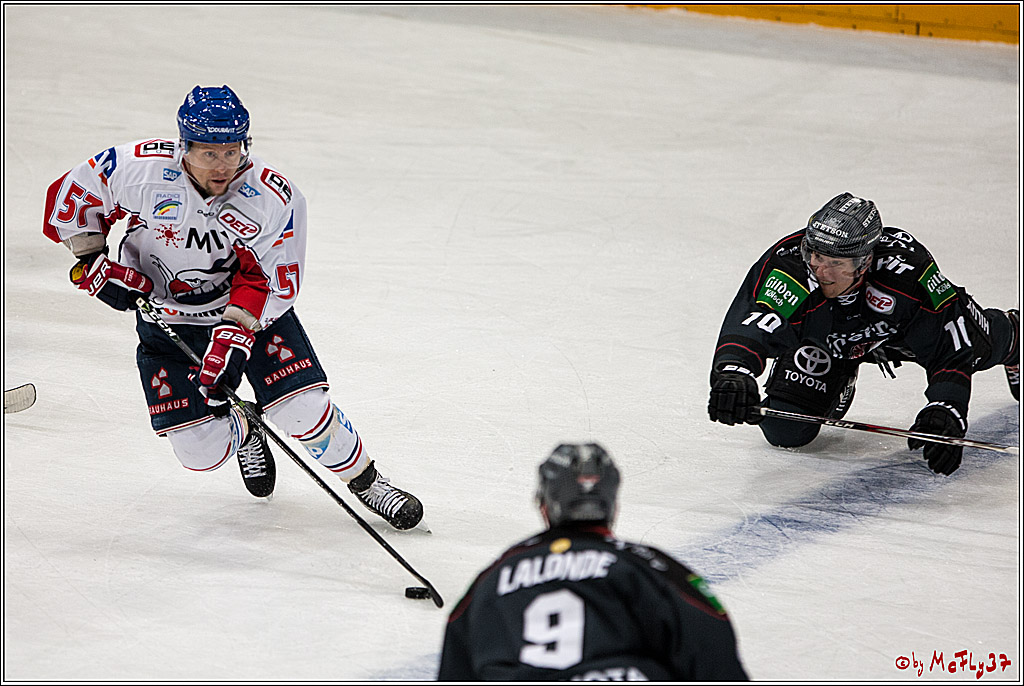 DEL, Koelner Haie - Adler Mannheim, 05.02.2017